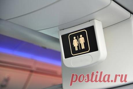 Пассажир самолета отказался пускать попутчицу в туалет и был обруган в сети. Авиапассажир отказался пустить попутчицу в туалет во время полета и был обруган в сети за бестактное поведение. Пользовательница Reddit рассказала, что во время многочасового перелета почувствовала себя плохо и попросила сидящего возле прохода пассажира выпустить ее в туалет, однако получила отказ.