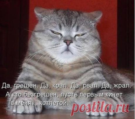 Одноклассники