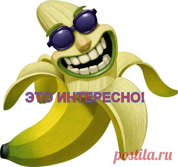 Бзик замечательных людей. Идиотские привычки знаменитейших исторических личностей Ч1