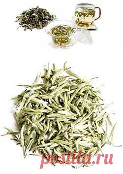 Раскрываем полезные свойства белого чая | Среда обитания