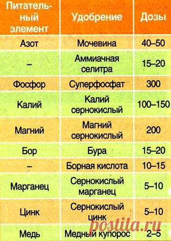 sadov_n_15_2.jpg (350×494)