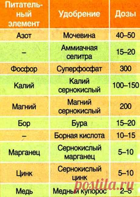 sadov_n_15_2.jpg (350×494)
