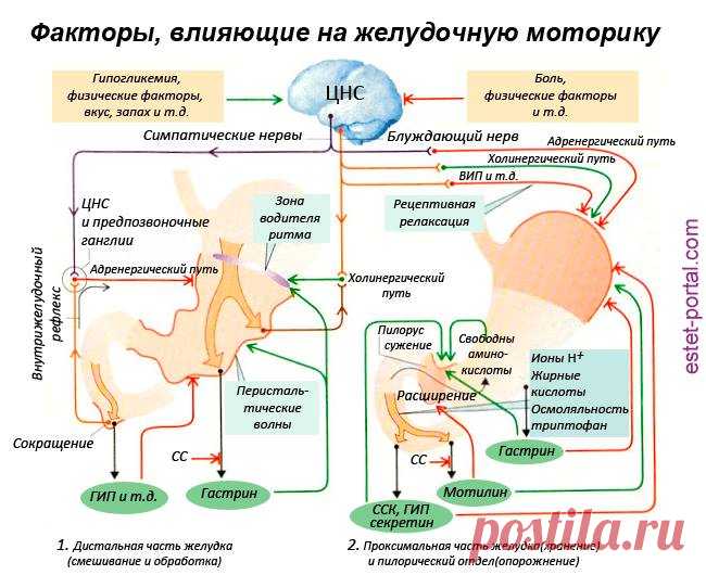 Улучшить работу кишечника при запорах поможет оливковое масло.