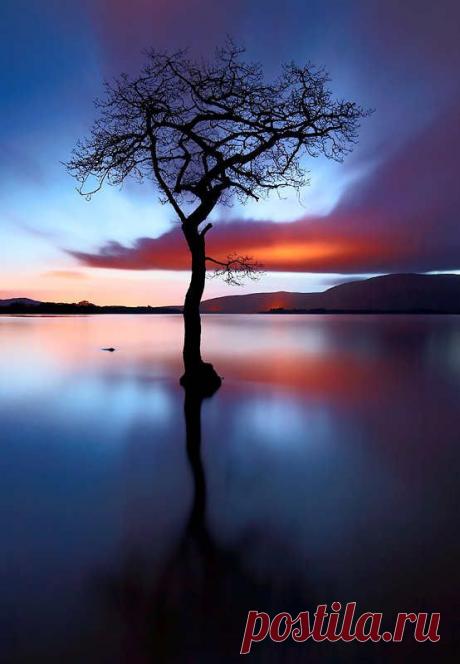 Misaki S  Tree &amp; Path