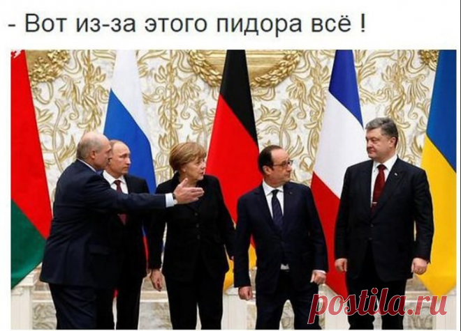 (99+) Ответ гей-европейцам на их скуление о демократии - Абсолютный рейтинг - 5 марта - 43023204572 - Медиаплатформа МирТесен
