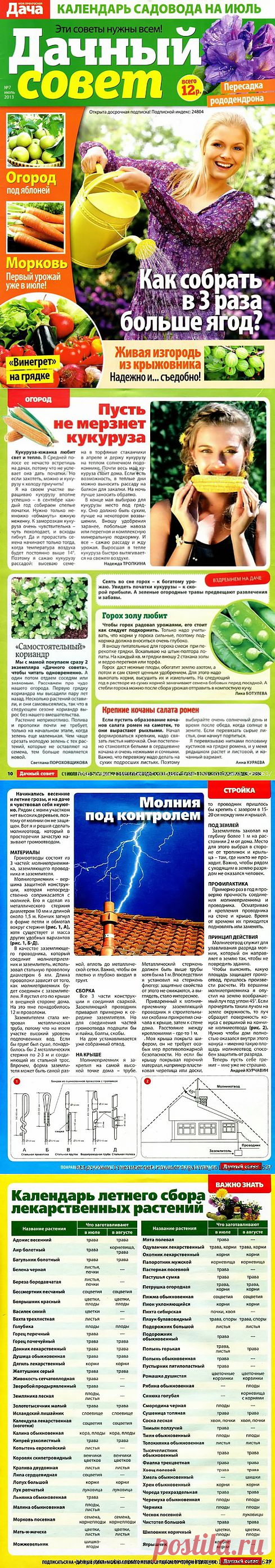 Дачный совет - 2013/7.