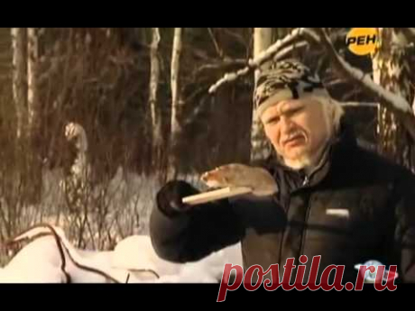 ТАЙНЫ МИРА. 2 СЕРИЯ. &quot;САМОВОЗГОРАНИЕ&quot;:                                             
    В этом выпуске Анна и ее помощники расследуют мистическую загадку самовозгорания человека.
Самовозгорание — самопроизвольное возникновение горения вследствие постепенного накопления тепла при протекании экзотермических реакций в каких-либо твёрдых горючих материалах.