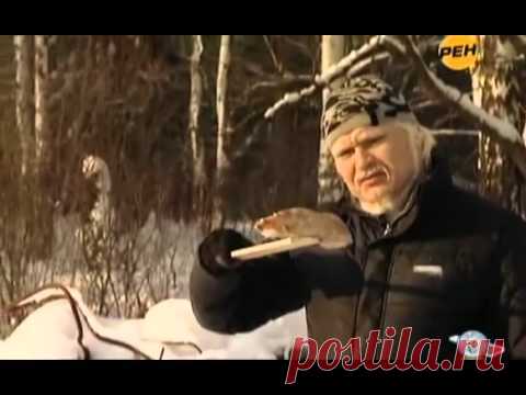 ТАЙНЫ МИРА. 2 СЕРИЯ. "САМОВОЗГОРАНИЕ":                                             
    В этом выпуске Анна и ее помощники расследуют мистическую загадку самовозгорания человека.
Самовозгорание — самопроизвольное возникновение горения вследствие постепенного накопления тепла при протекании экзотермических реакций в каких-либо твёрдых горючих материалах.