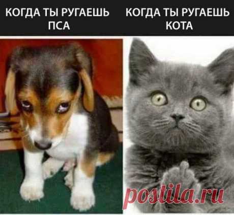 Улыбнуло :D