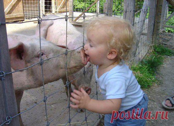 Мы с тобой одной крови...ты и я!