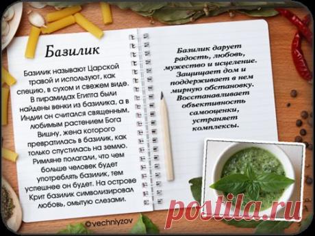 Пряности и их свойства и применение