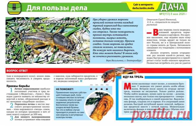 Медведка