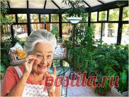 6 БАБУШКИНЫХ СОВЕТОВ ПО УХОДУ ЗА КОМНАТНЫМИ ЦВЕТАМИ...