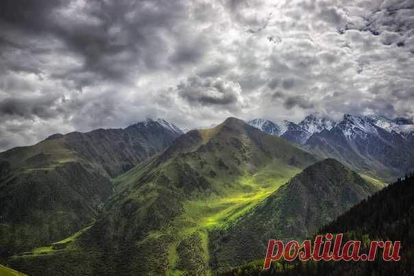 Перед грозой. Природный парк Ала-Арча. Кыргызстан. Автор фото – Элина Магалимова: nat-geo.ru/photo/user/21124/
