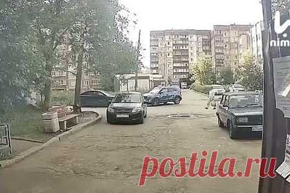 Отстреливающий собак россиянин попал на видео