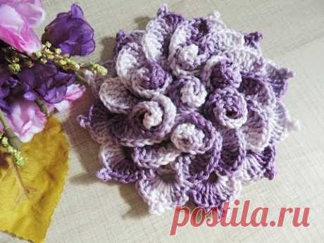 Flor de Maio