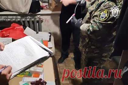 Подозреваемый в расправе над школьницей в Нижнем Тагиле попал на видео