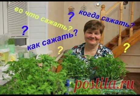 (4) Одноклассники