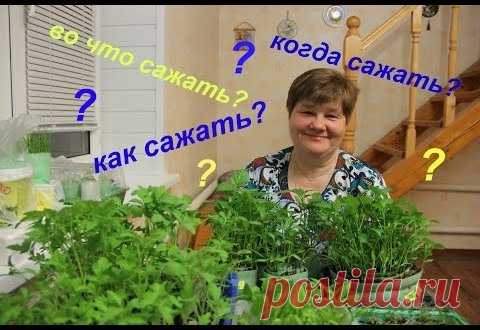 (4) Одноклассники