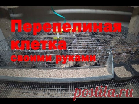 Перепелиная клетка своими руками