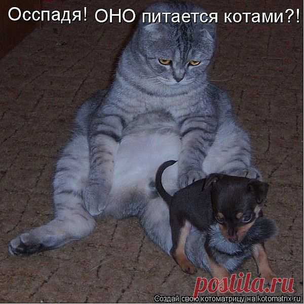 Кто это?