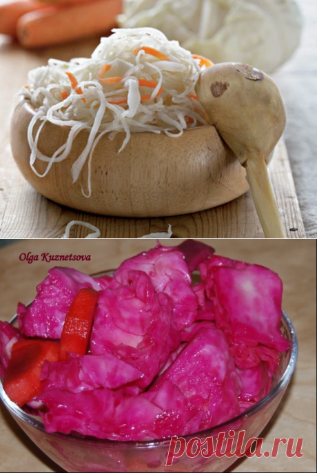 Похрустим капусткой? 5 рецептов на любой вкус! » Женский Мир