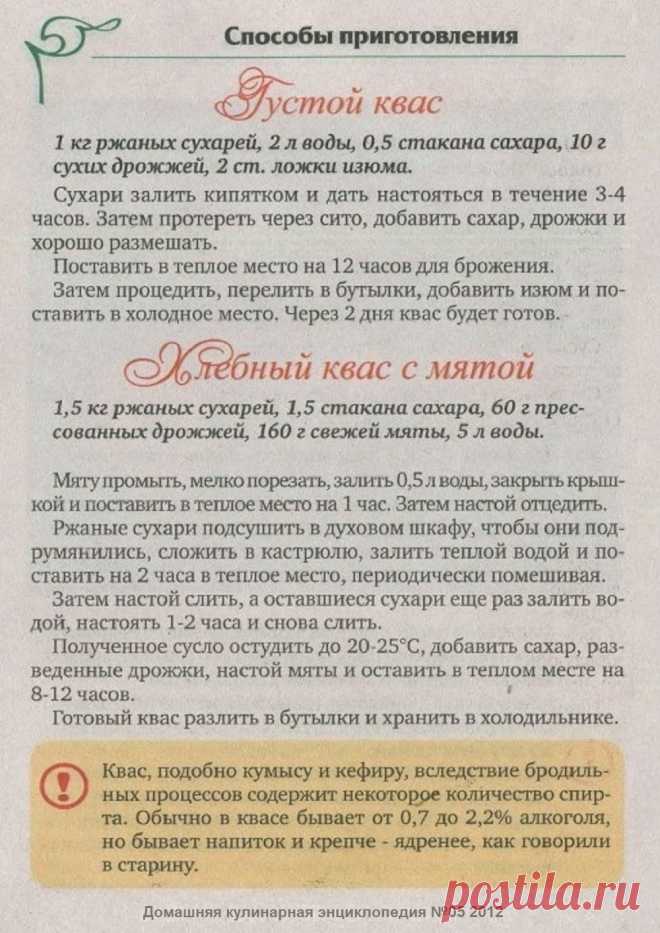 Густой квас. Хлебный квас с мятой