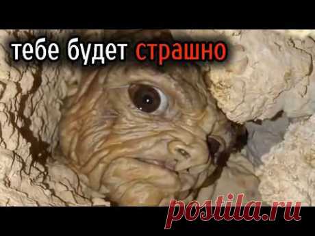 Самые Ужасные Видео со Всего Мира #13