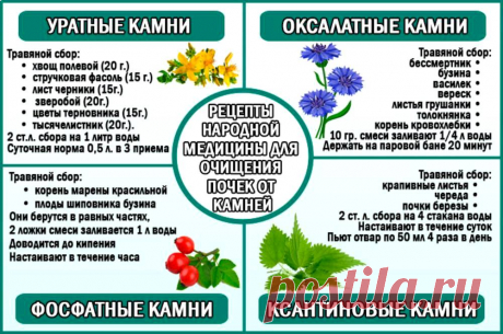 Рецепты народной медицины для очищения почек от камней