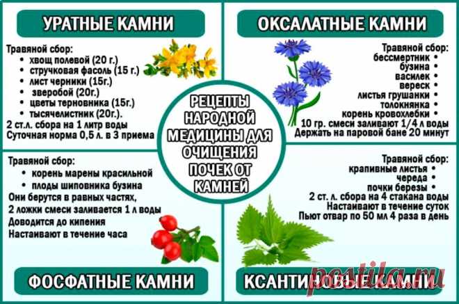 Рецепты народной медицины для очищения почек от камней