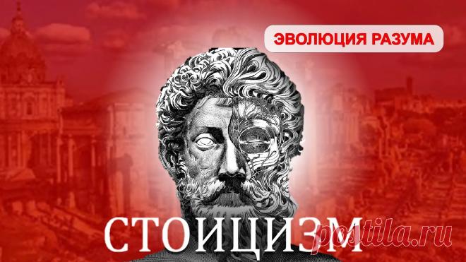 Сергей Власов (СЕВЛ) — Яндекс Кью