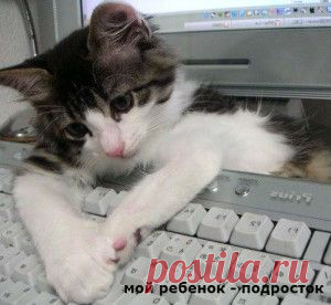 Реальный заработок в интернете для каждого