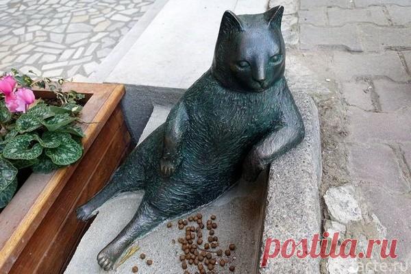 Томбили - звезда интернета. Необычный памятник коту в Стамбуле. Кот по кличке Томбили бродил по улицам Стамбула и совершенно случайно стал звездой Всемирной паутины. Один американский сайт с развлекательной тематикой опубликовал фото животного. Томбили жил в районе Зивербей, на восточном берегу Босфора. Часто он находился в переулке Гулеч, где располагается кафе, возле которого кот любил лежать и наблюдать за происходящим вокруг.