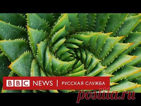 Как фракталы помогают понять устройство Вселенной?
