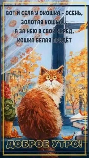 Выпуск №7354 - выпуск анекдотов сайта вокруг смеха