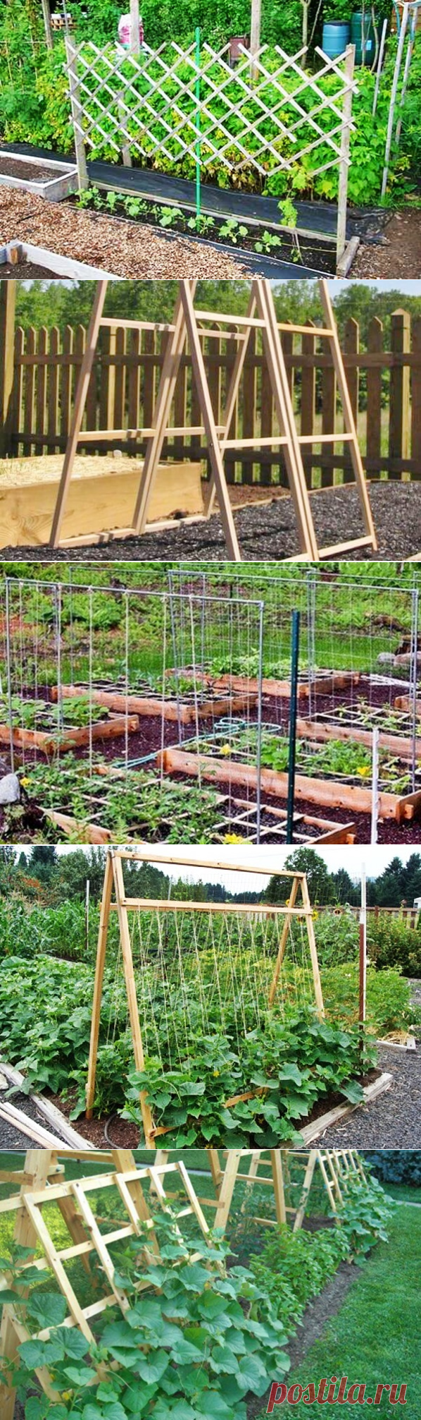 Опоры для огурцов в открытом грунте своими руками: фото