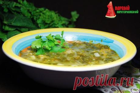 Рецепт: Зеленый борщ с щавелем без мяса | Первый Вегетарианский