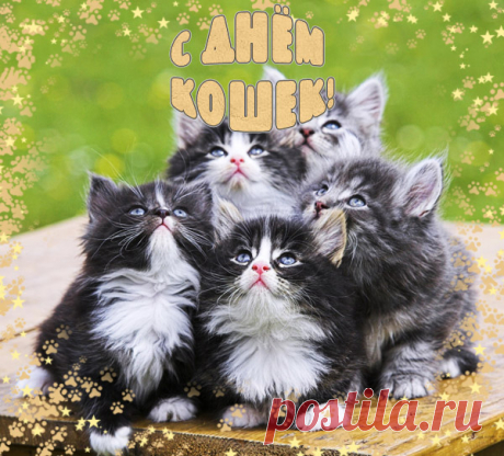 Кто нас в холод согревает
И баюкает в ночи,
Свою песню напевает,
Жизнерадостно мурчит?