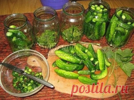 "Детские" маринованные огурчики
Это вариант детских огурчиков, так как основной консервант - уксус, который используется при консервации в очень больших дозах, заменен на лимонную кислоту в маленьком количестве
Маринад: (на 3-л банку)
2 ст. л. соли;
5 ст. л. сахара;
1,5 ч. л. лимонной кислоты.
Так как 3-л банку с огурцами мы быстро не осилим, я закатываю в банки 1-л (соответственно берем 3 банки)
На дно банки( 1-л) укладываем: 1 зонтик укропа,1 лист хрена, 2 зубчика чеснока, 2-3 горо