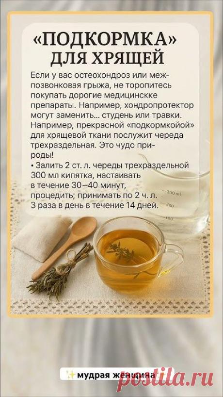 Подкормка для ХРЯЩЕЙ 😍🥰😍😘