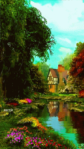 Живые фотографии – Живые картинки – Сообщество – Google+