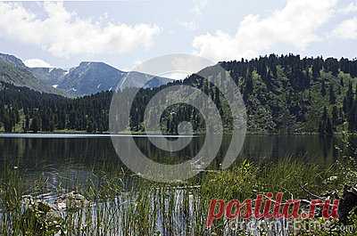Stock Photos, Royalty-Free Images & Video Footage By Dreamstime Stock Photography