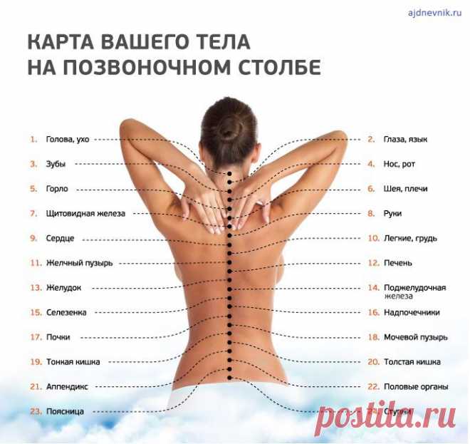 Существует Карта Вашего Тела! Вы уже видели?
