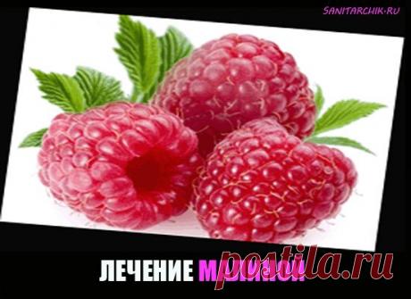 Полезные свойства ягод