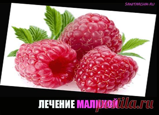 Полезные свойства ягод