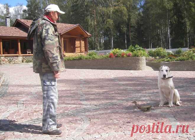 Общий курс дрессировки САО