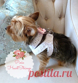 Pixie HeartStrings: вязанная собачка для вашей крошечной собаки ~ FREE Pattern