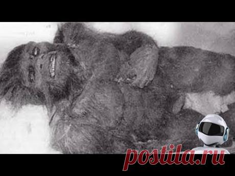 СНЕЖНЫЙ ЧЕЛОВЕК снятый НА КАМЕРУ / ЙЕТИ на видео очевидцев