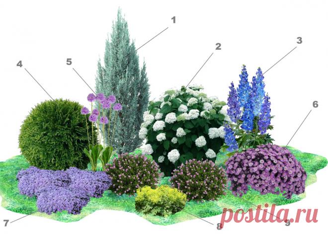 Оцените яркую клумбу с многолетниками: схема | КЛУМБА | Яндекс Дзен