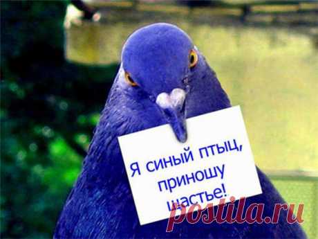 На самом ли деле вы счастливы?
	
Из чего складывается чувство счастья? Счастье — это так просто. Или не совсем просто? Что нужно для счастья? Чувствуете ли вы себя счастливым в этой жизни? Проверьте.